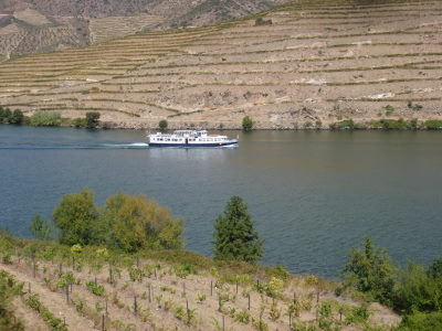 The Douro River.
